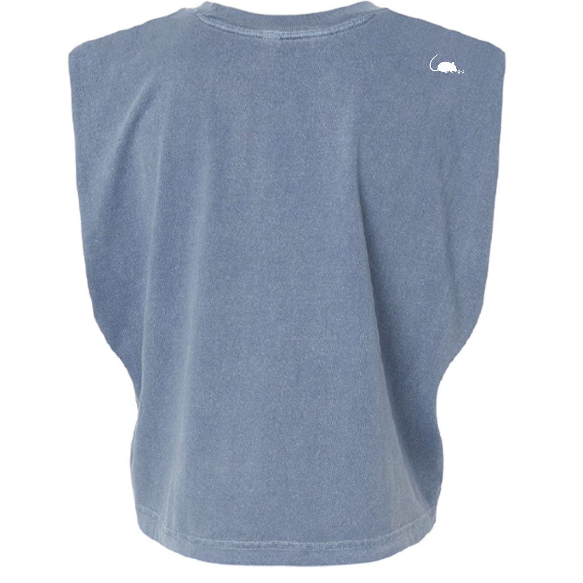 Faded Navy - BACK
